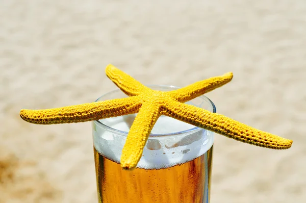 Stelle marine e birra rinfrescante sulla spiaggia — Foto Stock