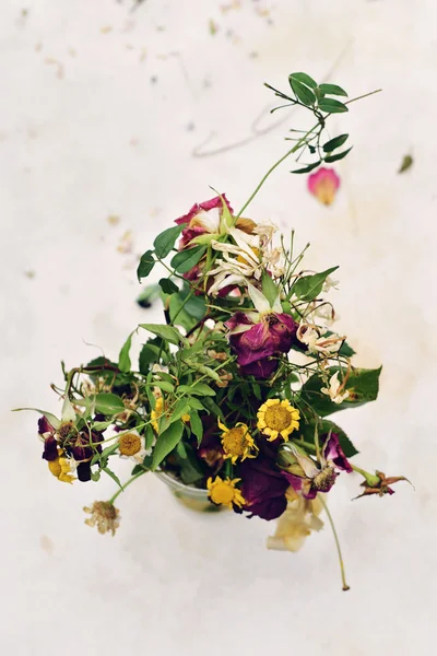Solmuş çiçekler — Stok fotoğraf