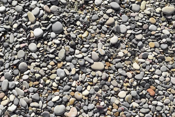 Kieselsteine eines Kieselstrandes oder eines Flusses — Stockfoto