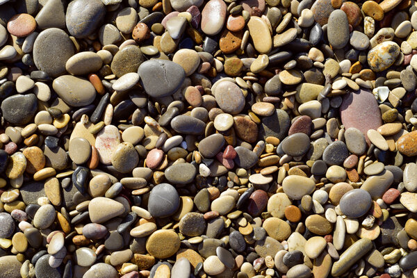 pebbles of a shingle beach or a river