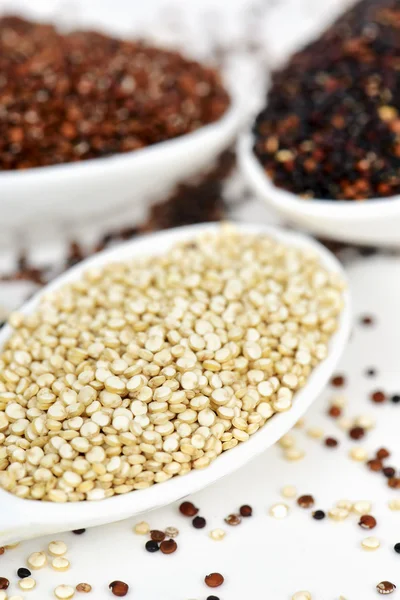 Graines de quinoa non cuites de différentes espèces — Photo