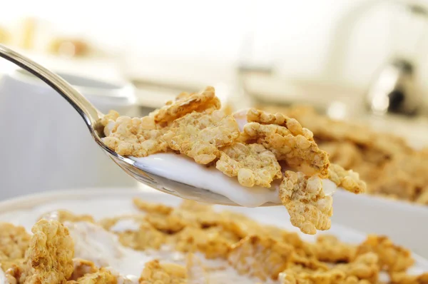 Frühstückszerealien in Milch eingeweicht — Stockfoto