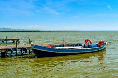 Valencia, İspanya Albufera bir havuzda tekne palamarla