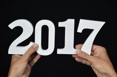 sayı 2017, yeni yıl olarak