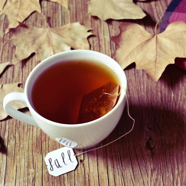 Чашка с пакетиком чая со словом fall на этикетке — стоковое фото