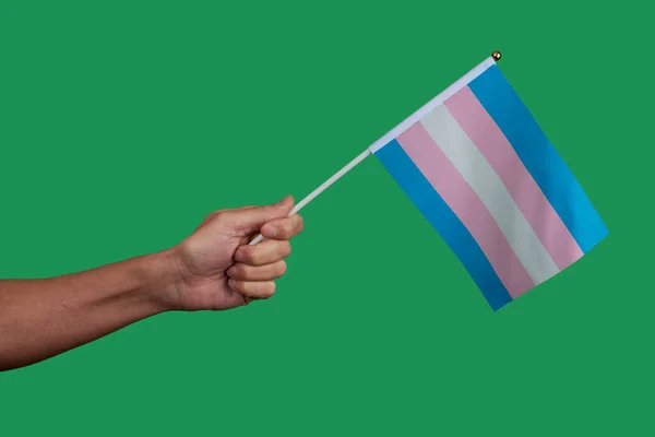 closeup of a young caucasian person waving a transgender pride flag on a green background