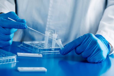Mavi cerrahi eldiven giyen bir sağlık görevlisinin yakın plan görüntüsü, reaktöre temas eden bir nazofaringeal çubuk örneğini kombine 19 antijen test cihazına yerleştirmeden önce,