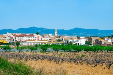 a panoramic view over Nulles, a small farming village in Tarragona Province in Catalonia, Spain, higlighting the bell tower of its church, dedicated to Saint John the Baptist clipart