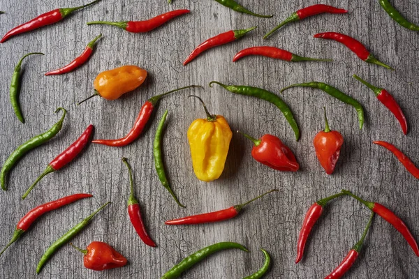 High Angle View Assortment Different Chili Peppers Gray Rustic Wooden — Stock Photo, Image