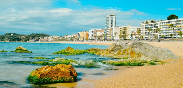 ロレット マルのプラジャ ロレットビーチ 有名なコスタ ブラバ カタルーニャ スペイン ウェブバナーやヘッダーとして使用するパノラマ形式での眺め — ストック写真