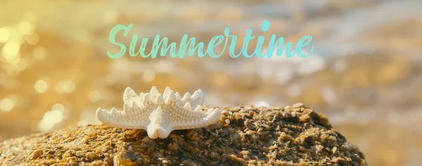 Une Étoile Mer Sur Rocher Sur Plage Avec Mer Arrière — Photo