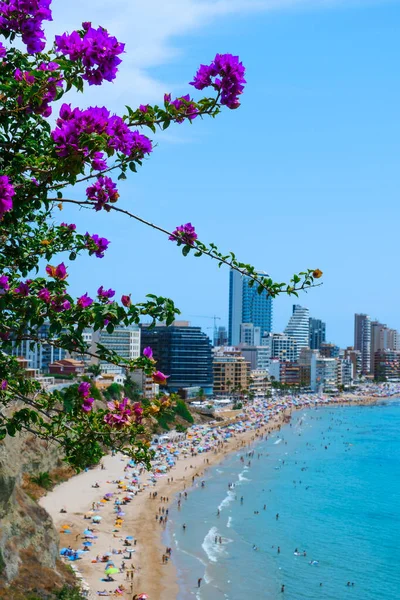 Panoramatický Výhled Hlavní Pláž Calpe Provincii Alicante Valencijského Společenství Španělsko — Stock fotografie