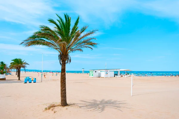 2021年8月2日 西班牙甘迪亚 位于甘迪亚的甘迪亚广场 Platja Gandia 是瓦伦西亚社区最受欢迎的夏季旅游胜地 背景中突出了一棵棕榈树和一家海滩餐馆 — 图库照片