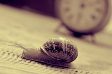 land snail and clock, in sepia tone clipart