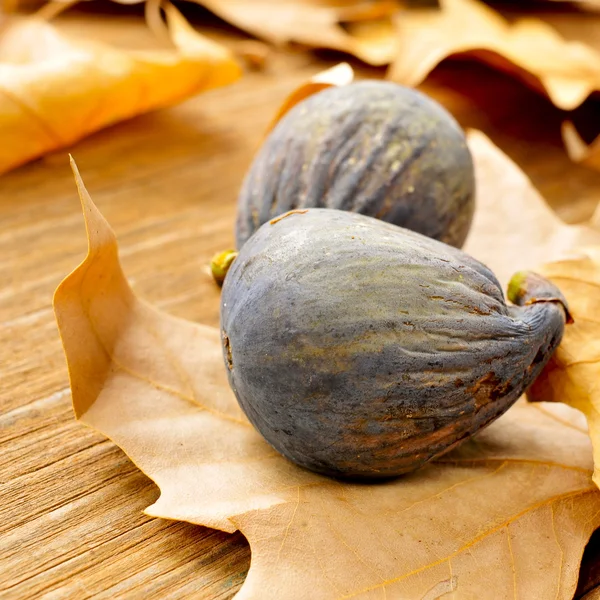 Ripe figs — Stock Photo, Image