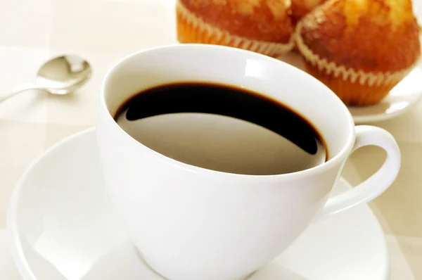 Kaffe och magdalenas, typiska spanska vanlig muffins — Stockfoto