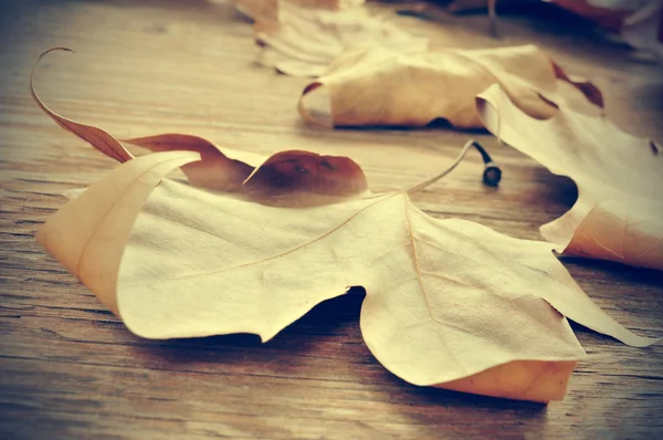 Herfstbladeren op een houten achtergrond met een retro-effect — Stockfoto