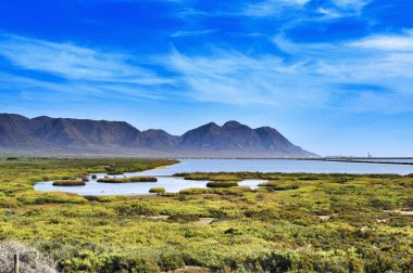 tuz daireler cabo de gata-nijar doğal Park, İspanya