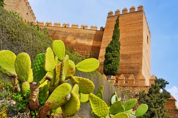 Alcazaba Almeria, i almeria, Spanien — Stockfoto