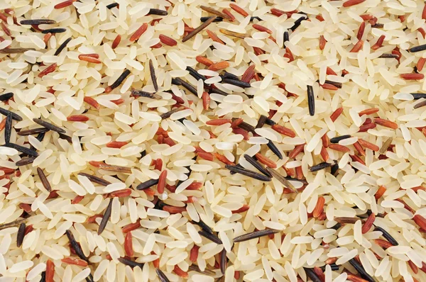 Wild rice — Stock Photo, Image