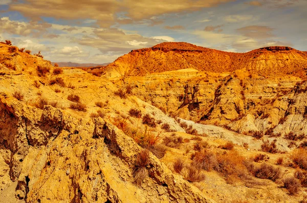 Wüste der Tabernas — Stockfoto