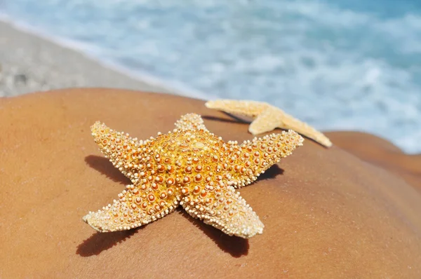 Estrelas-do-mar nas costas de um homem na praia — Fotografia de Stock