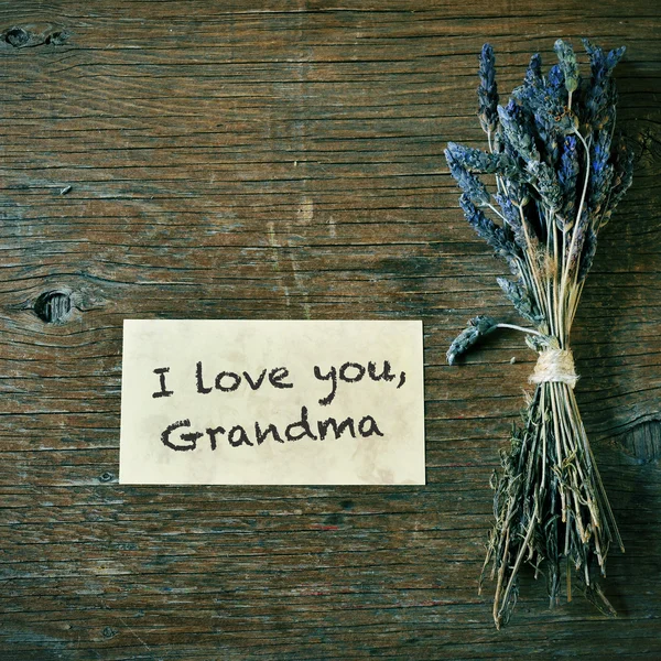 Amo-te, avó. — Fotografia de Stock