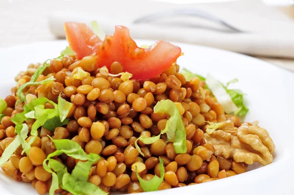 Lentil salad — Stock Photo, Image