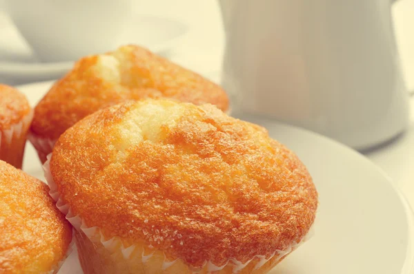 Café e magdalenas, muffins lisos espanhóis típicos — Fotografia de Stock