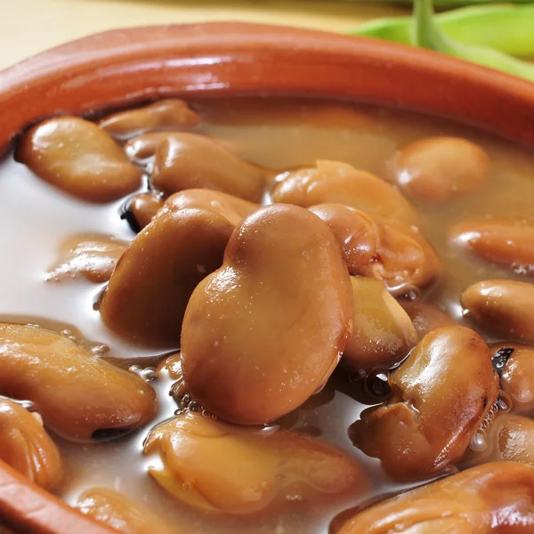 Broad bean stew — Stock Photo, Image