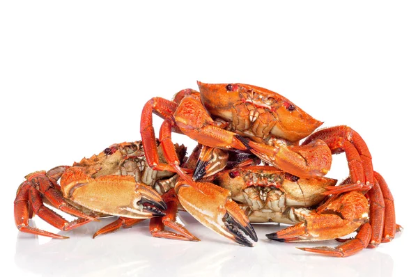 Raw velvet crabs — Stock Photo, Image