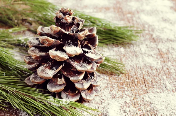 Snowy pine cone — Stock Photo, Image