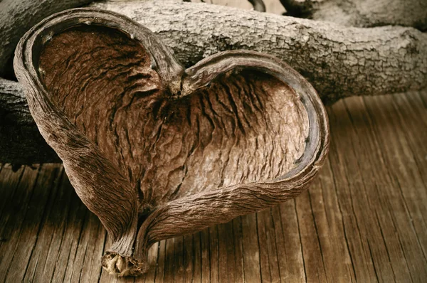 Heart-shaped nut shell and logs — Stock Photo, Image