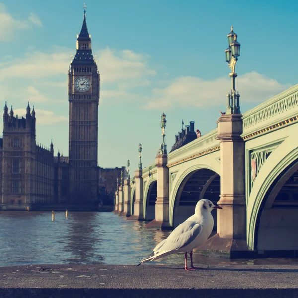 The River Thames and the Big Ben — Stock Photo, Image