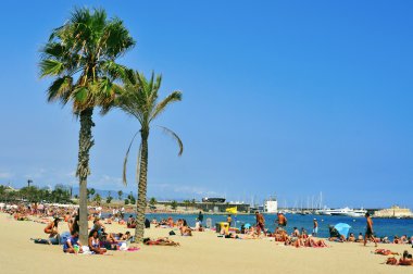 La Barceloneta Beach, in Barcelona, Spain