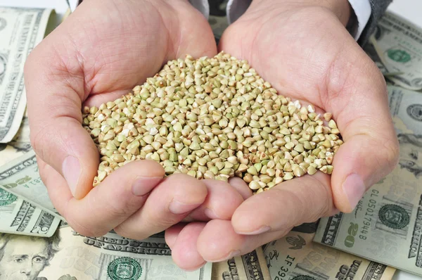 Buckwheat seeds and dollar banknotes — Stock Photo, Image