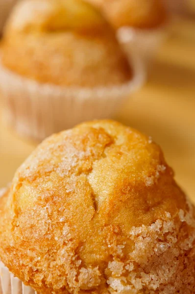 Magdalenas, muffins lisos espanhóis típicos — Fotografia de Stock