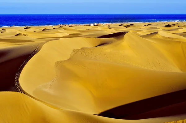 Natural Reserve of Dunes of Maspalomas, in Gran Canaria — Stock Photo, Image