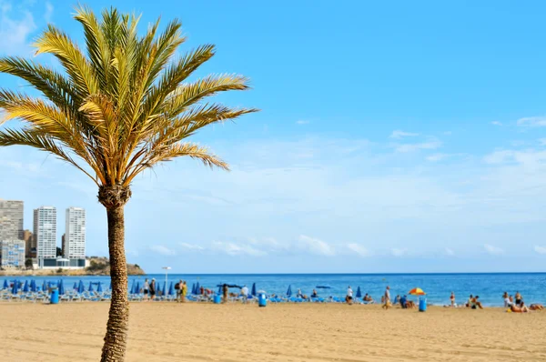 Plaży Levante w benidorm, Hiszpania — Zdjęcie stockowe