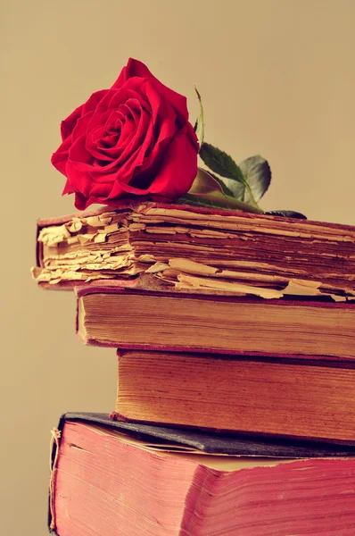 Kırmızı gül ve eski kitaplar — Stok fotoğraf
