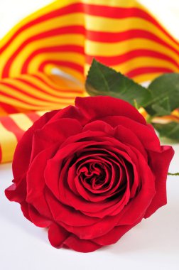 Kitap, kırmızı gül ve Sant Jordi, Saint George için Katalan bayrağı