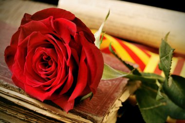 Kitap, kırmızı gül ve Sant Jordi, Saint George için Katalan bayrağı