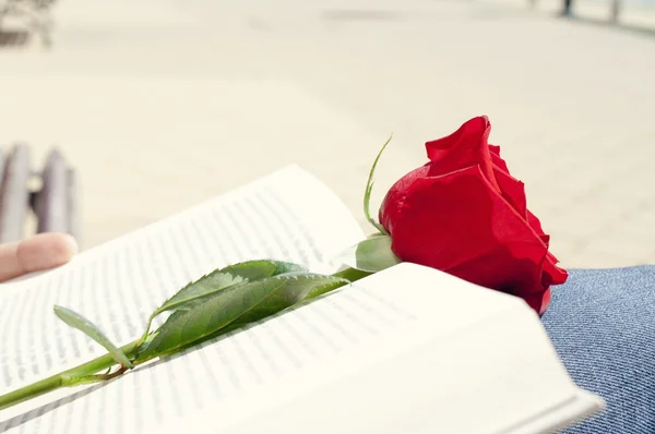 Book and red rose for Sant Jordi, Saint Georges Day — Stock Photo, Image