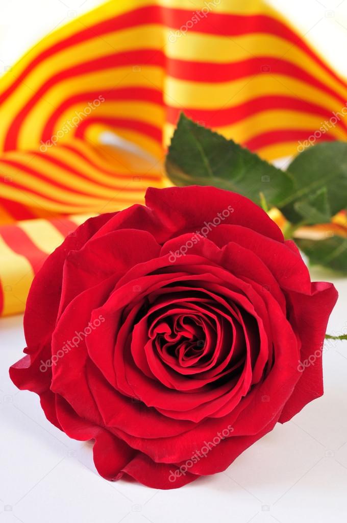 book, red rose and the catalan flag for Sant Jordi, Saint George