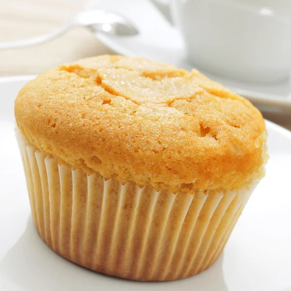 Magdalena, typisch Spaanse vlakte muffin — Stockfoto