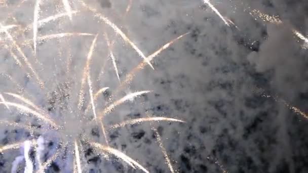 Pertunjukan kembang api yang indah — Stok Video