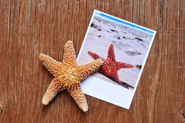 Estrela-do-mar e uma foto instantânea de uma estrela-do-mar numa superfície de madeira — Fotografia de Stock