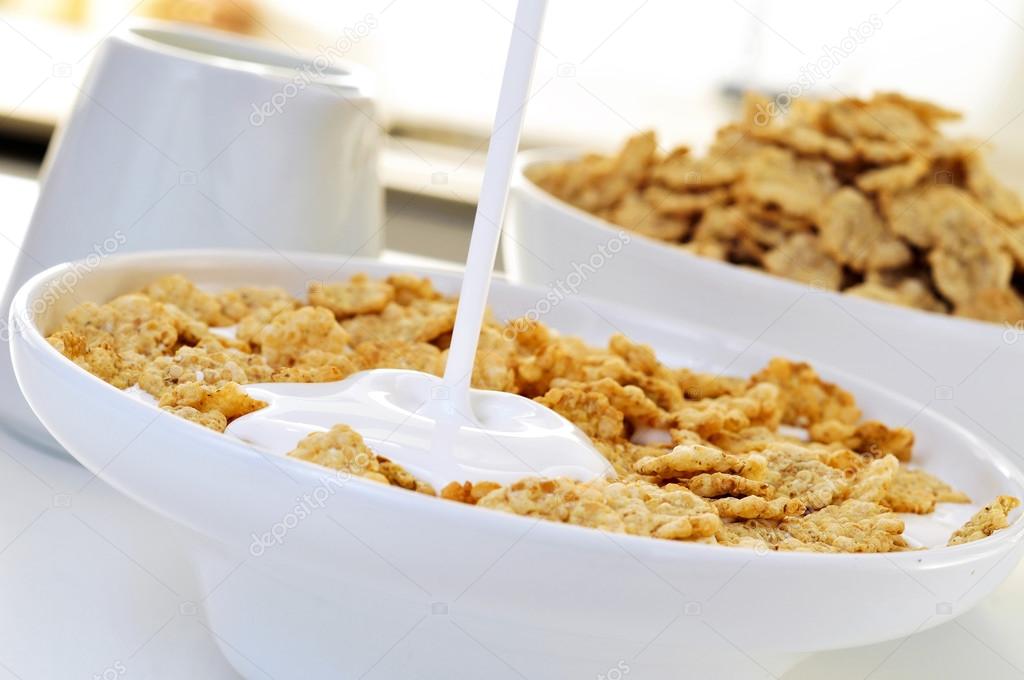 yogurt and oatmeal cereals