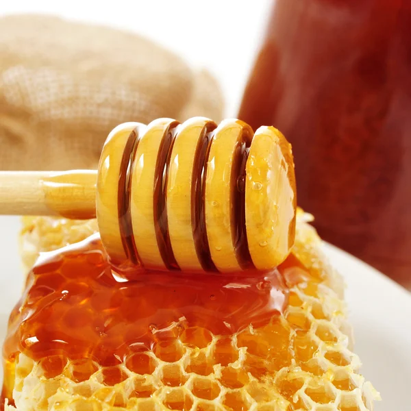 Honeycomb with honey close up — Stock Photo, Image