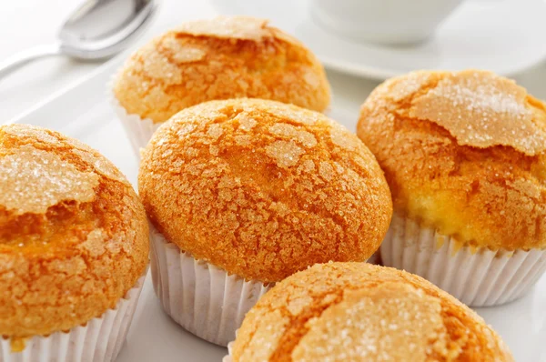 Magdalenas, typical spanish plain muffins — Stock Photo, Image